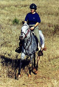 AraAppaloosa horse with rider walking on a trail in the pasture.