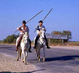 Two Camargue horses with riders walking down a paved road. 
