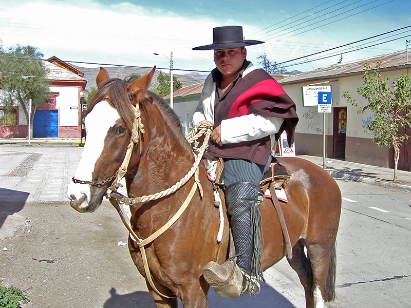 A Chilean Corralero horse and rider standing on concrete in a parking lot.