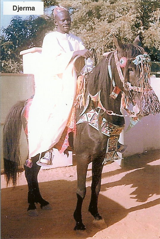 A Djerma horse and rider dressed in traditional tribal African attire.