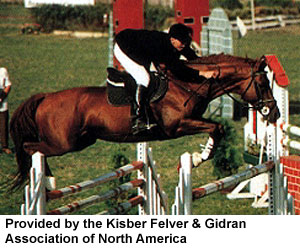 A Kisber Felver horse being ridden over a jump in a course provided by Kisber Felver & Gidran Association of North America.
