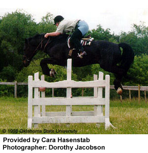 A Latvian horse being ridden over a jump provided by Cara Hasenstab and photographed by Dorothy Jacobson.
