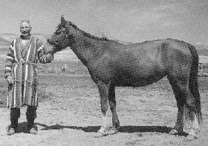 A man standing with a Lokai horse.