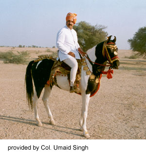 A man riding a Marwari horse provided by Col. Umaid Singh.