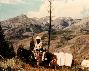 A person packing on a Missouri Fox Trotting horse in the mountains.
