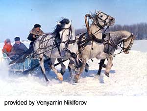 A team of Orlov Trotter horses in the snow pulling a sled with people aboard provided by Venyamin Nikiforov.