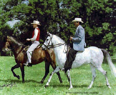 People riding Paso Fino horses on a grassy area.