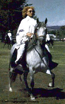 A woman riding a Peruvian Paso horse.