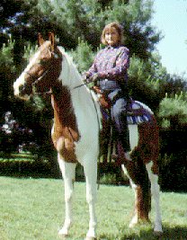 A woman riding a Pinto horse.