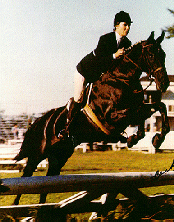 A woman on a Saddlebred horse being ridden over a jump.