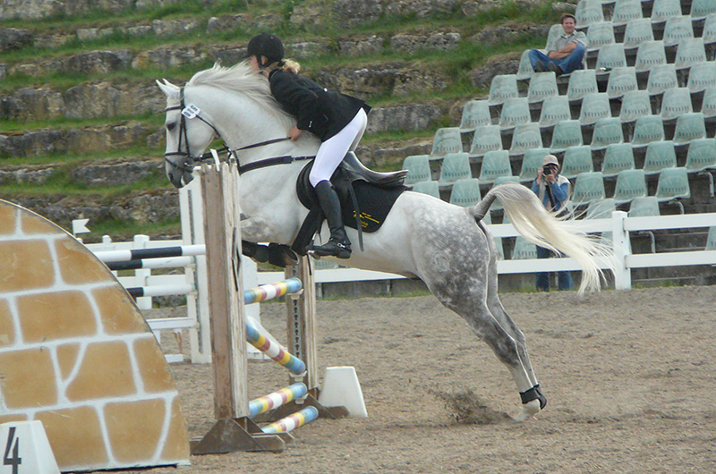 A Shagya horse and rider going over a jump in competition.