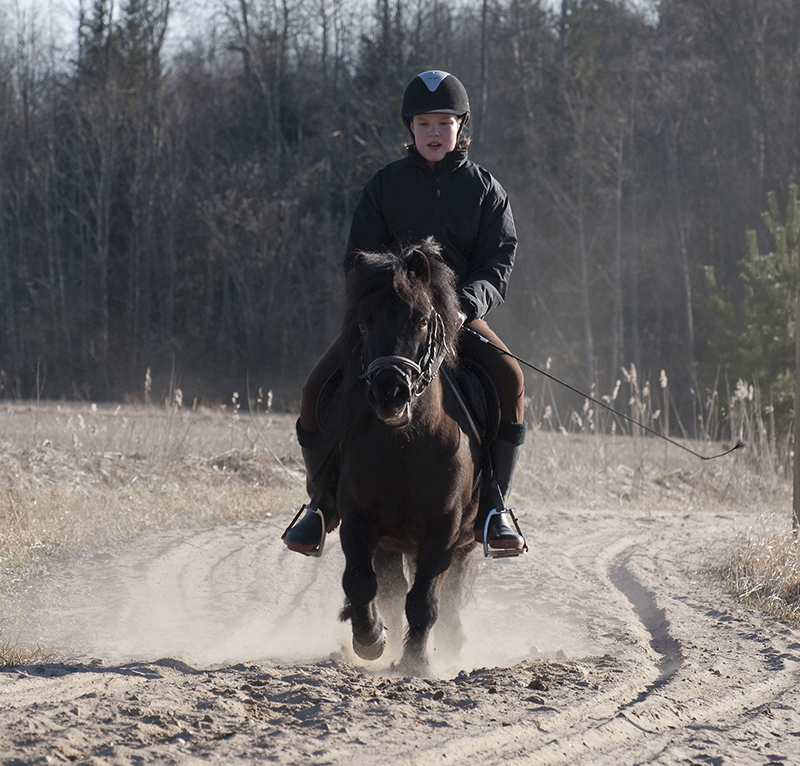 A Shetland pony being ridden.