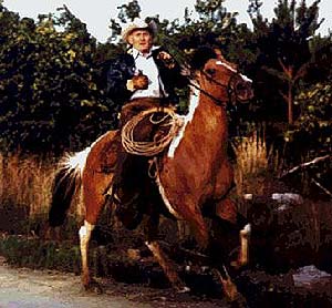 A cowboy riding a Spanish Mustang horse.