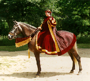 A rider sitting on top of a Spanish-Norman horse dressed in medieval attire.
