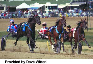 Standardbred horses running in a harness race.